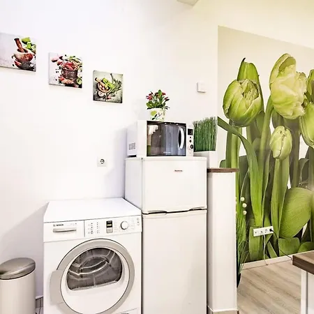Apartment - Large - Comfy