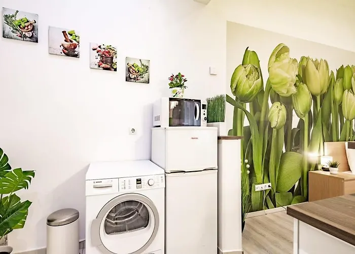 Apartament - Large - Comfy